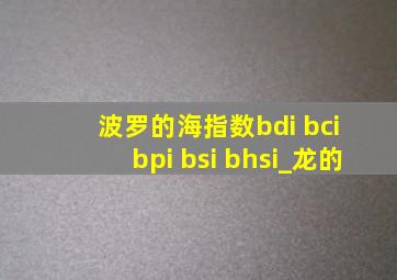 波罗的海指数bdi bci bpi bsi bhsi_龙的